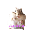 シマリス♡ビビ（個別スタンプ：8）