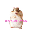 シマリス♡ビビ（個別スタンプ：10）