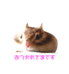 シマリス♡ビビ（個別スタンプ：14）