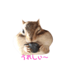 シマリス♡ビビ（個別スタンプ：15）