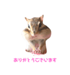 シマリス♡ビビ（個別スタンプ：20）