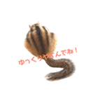 シマリス♡ビビ（個別スタンプ：23）