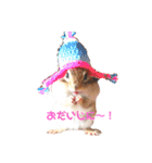 シマリス♡ビビ（個別スタンプ：24）