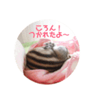 シマリス♡ビビ（個別スタンプ：27）