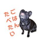 愛犬ぶぅ(フレンチブルドッグ)（個別スタンプ：12）