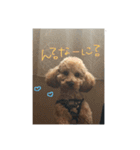 レオくん♡（個別スタンプ：4）