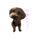 レオくん♡（個別スタンプ：9）