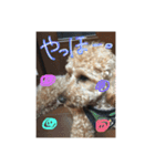 レオくん♡（個別スタンプ：12）