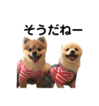ランジュくんとルイちゃん シーズン3（個別スタンプ：3）
