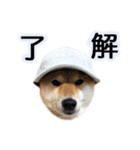 モフモフなお友達“ナッツ”の喜怒哀楽☆（個別スタンプ：9）