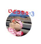 らと愉快な仲間たち（個別スタンプ：5）