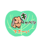 うさぎの♪うーちゃん言葉（個別スタンプ：1）