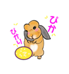 うさぎの♪うーちゃん言葉（個別スタンプ：5）