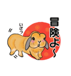 うさぎの♪うーちゃん言葉（個別スタンプ：7）