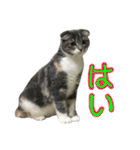 めんみちゃん（個別スタンプ：2）