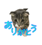 めんみちゃん（個別スタンプ：7）