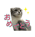 めんみちゃん（個別スタンプ：12）
