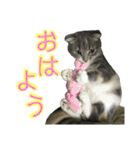 めんみちゃん（個別スタンプ：13）