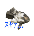 めんみちゃん（個別スタンプ：23）