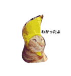 猫のお返事スタンプ あめ/もも/ミント（個別スタンプ：12）
