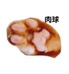 猫のお返事スタンプ あめ/もも/ミント（個別スタンプ：16）