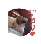 パンさんtheスタンプ（個別スタンプ：3）