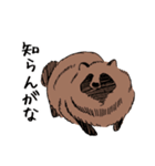 自由気ままなたぬきちくん（個別スタンプ：1）