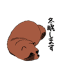 自由気ままなたぬきちくん（個別スタンプ：5）