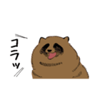 自由気ままなたぬきちくん（個別スタンプ：13）