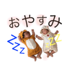 ここゆいスタンプ（個別スタンプ：3）