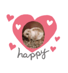 ロップちゃんstamp（個別スタンプ：6）