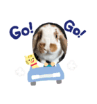 ロップちゃんstamp（個別スタンプ：12）