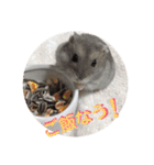 ハムスターのぱせりスタンプ（個別スタンプ：2）
