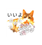 気ままな猫達9（個別スタンプ：34）