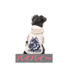 Laniちょん（個別スタンプ：4）