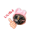 かわいい動物達？（個別スタンプ：9）