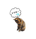 かわいい動物達？（個別スタンプ：11）