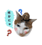 かわいい動物達？（個別スタンプ：12）