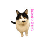 ことぶきさんち！（個別スタンプ：7）