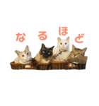 ことぶきさんち！（個別スタンプ：12）