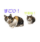 ことぶきさんち！（個別スタンプ：14）