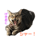 ことぶきさんち！（個別スタンプ：22）