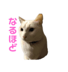 ことぶきさんち！（個別スタンプ：27）