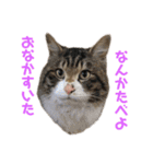 ことぶきさんち！（個別スタンプ：30）