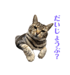 ことぶきさんち！（個別スタンプ：39）