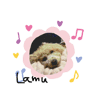 愛犬ラムのスタンプ（個別スタンプ：5）