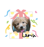 愛犬ラムのスタンプ（個別スタンプ：6）