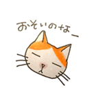 ハチワレむっちり③（個別スタンプ：12）