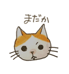 ハチワレむっちり③（個別スタンプ：13）