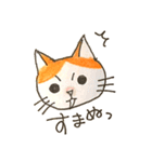 ハチワレむっちり③（個別スタンプ：15）